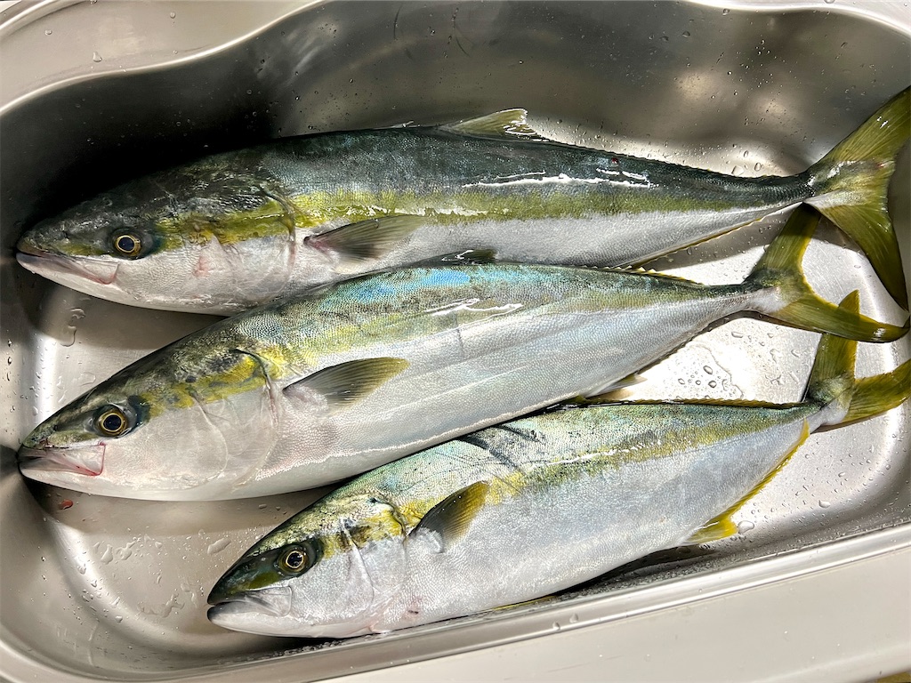 f:id:baseballlll:20250202205932j:image f:id:baseballlll:20250202205932j:image