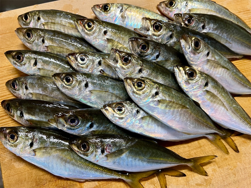 f:id:baseballlll:20251101010912j:image f:id:baseballlll:20251101010912j:image