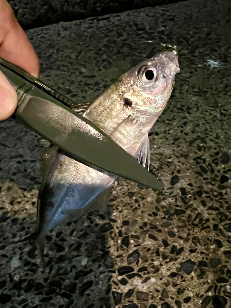 f:id:baseballlll:20251101010930j:image f:id:baseballlll:20251101010930j:image