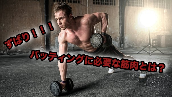 飛距離アップに必要な筋肉とは Mlb式打撃指導塾 Com