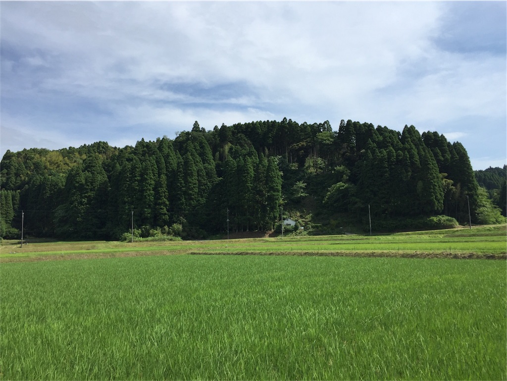 f:id:bashi1111:20170801140302j:image f:id:bashi1111:20170801140302j:image