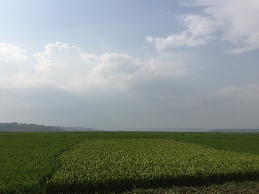 f:id:bashi1111:20190111183505j:plain f:id:bashi1111:20190111183505j:plain