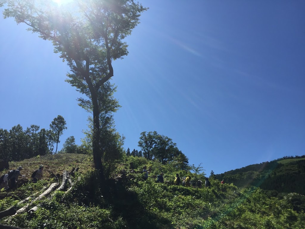 f:id:bashi1111:20190805084101j:plain f:id:bashi1111:20190805084101j:plain