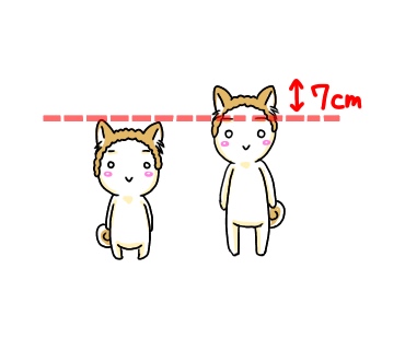 f:id:bashii:20190313212132j:plain