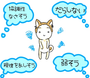 f:id:bashii:20190313212254j:plain