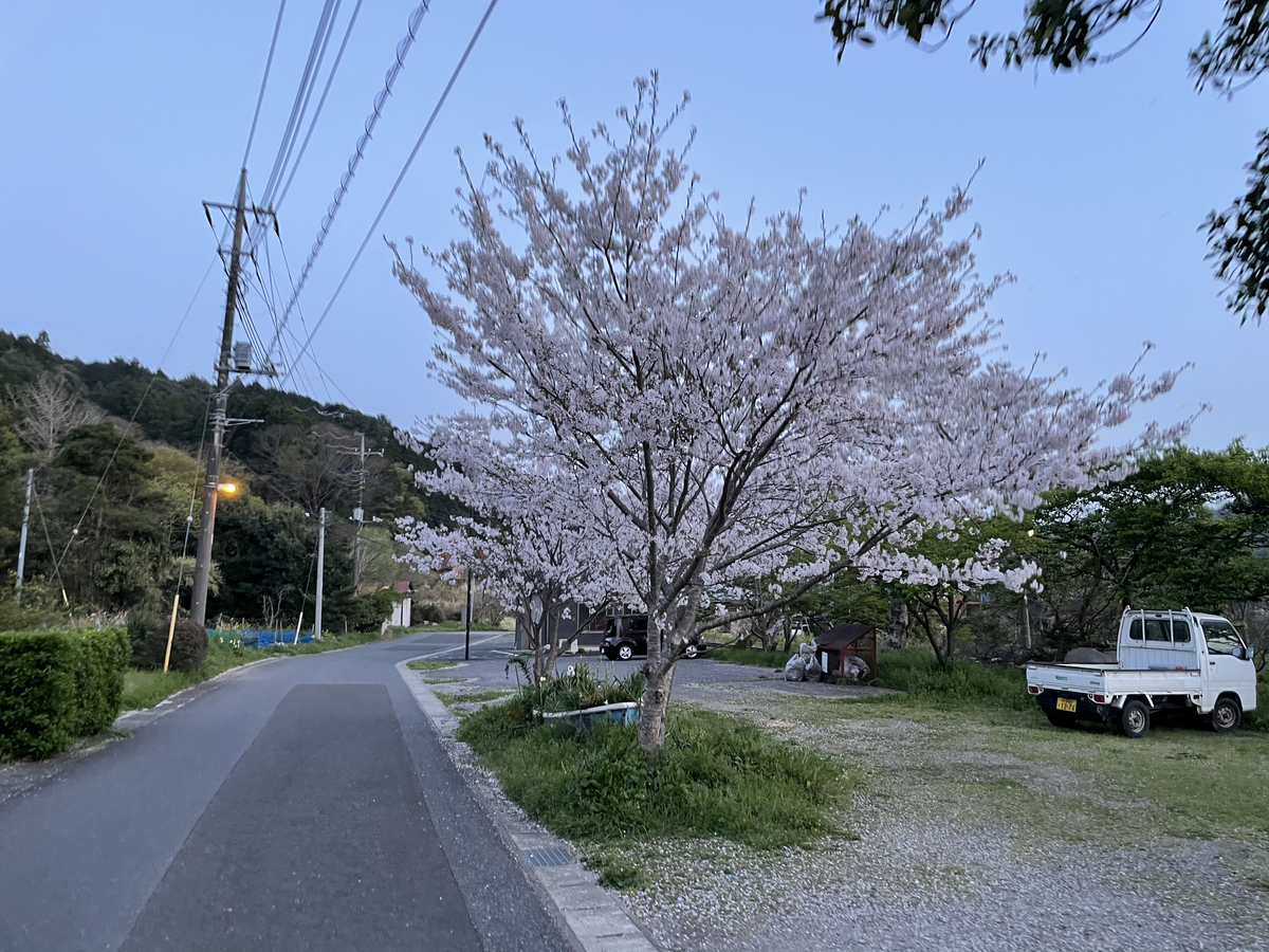 f:id:basho-blog:20210408011127j:plain