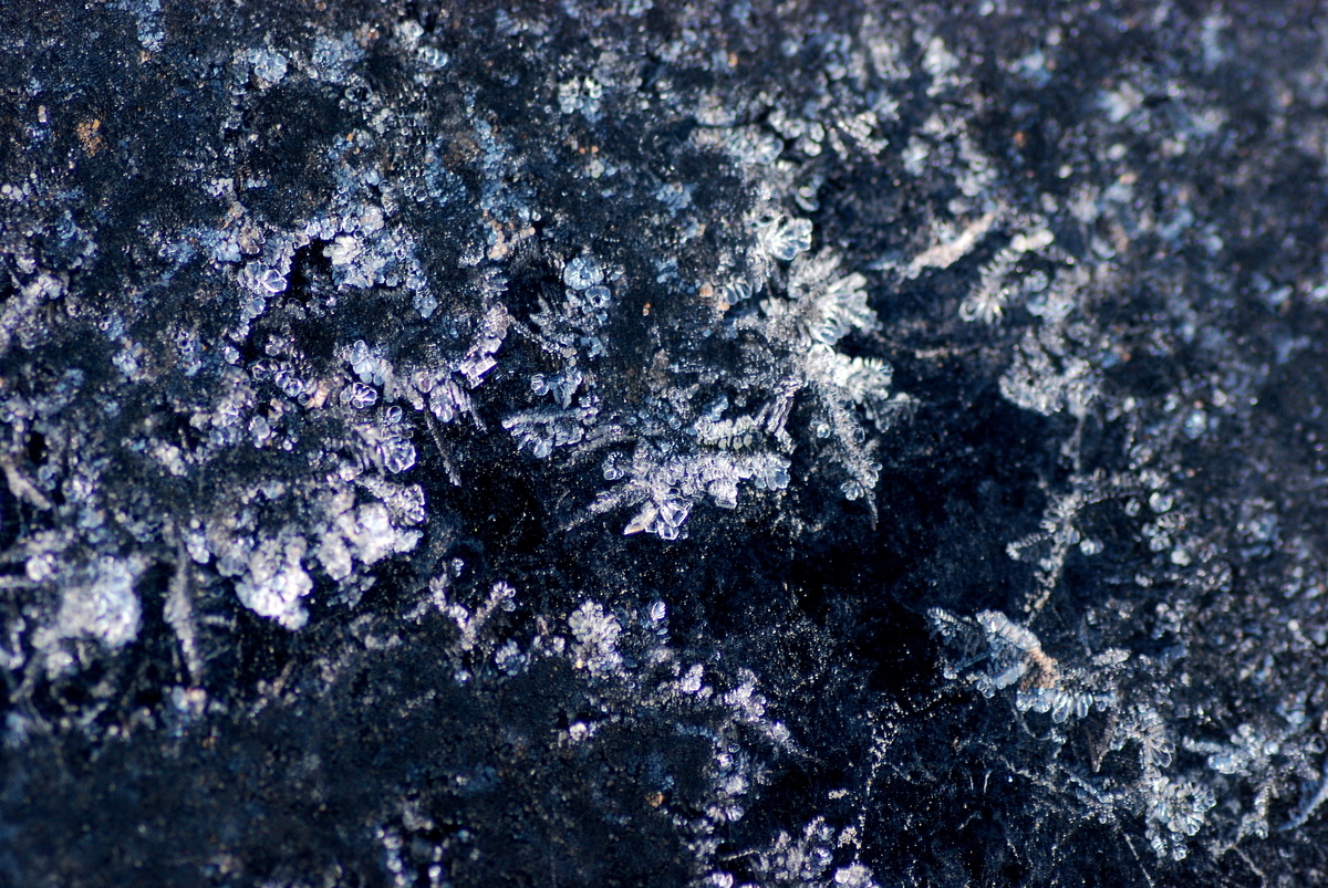 f:id:basho100:20210213161752j:plain