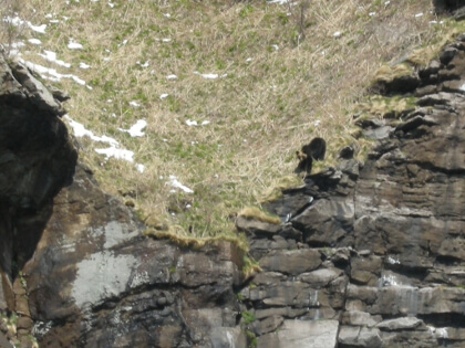 f:id:basiliskos:20160510064917j:plain