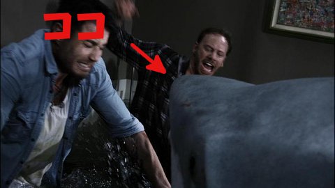 シャークネード サメ