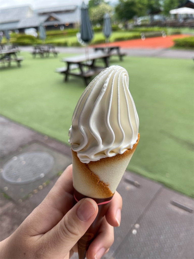 f:id:basra1219:20210621163539j:image f:id:basra1219:20210621163539j:image