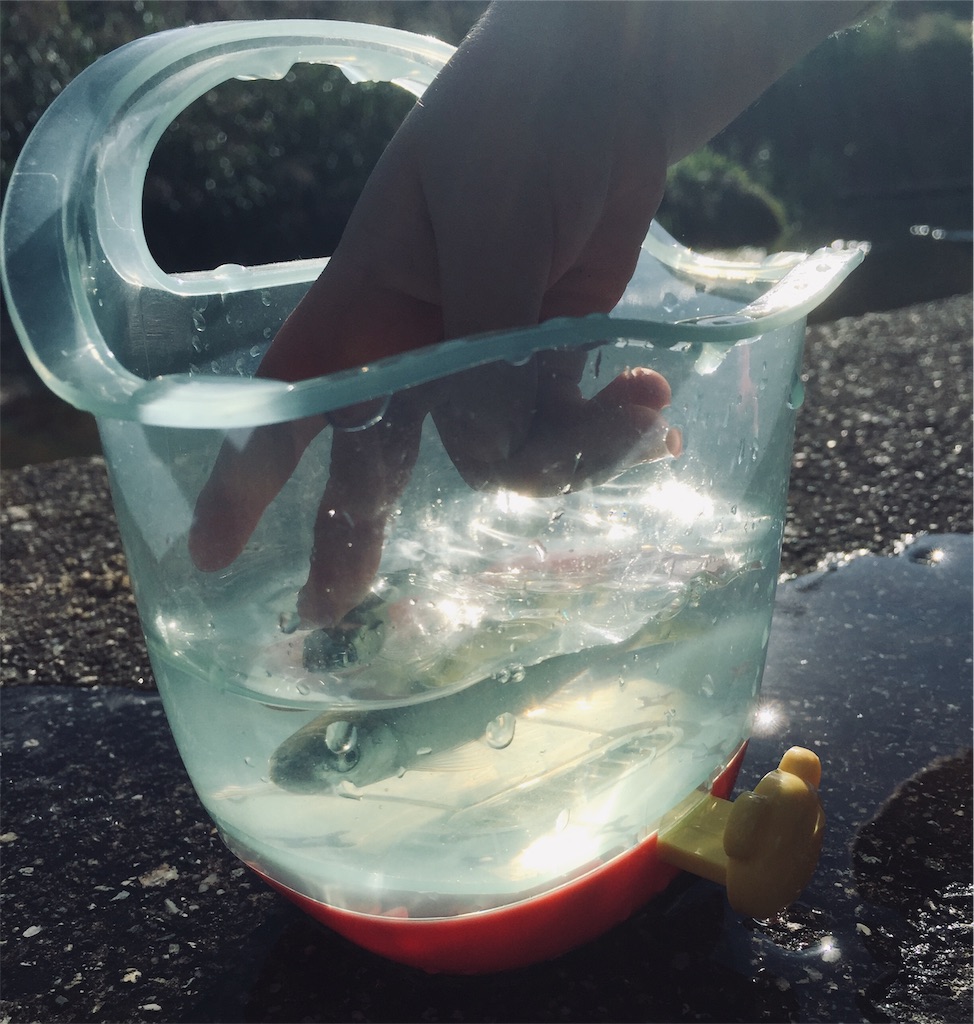 f:id:basserinyodoriver:20191105181016j:image f:id:basserinyodoriver:20191105181016j:image