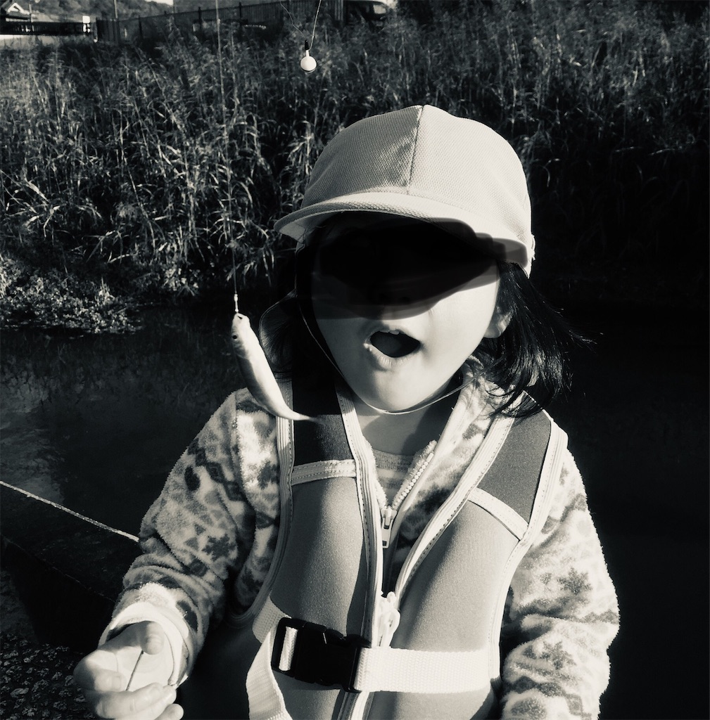 f:id:basserinyodoriver:20191105181048j:image f:id:basserinyodoriver:20191105181048j:image