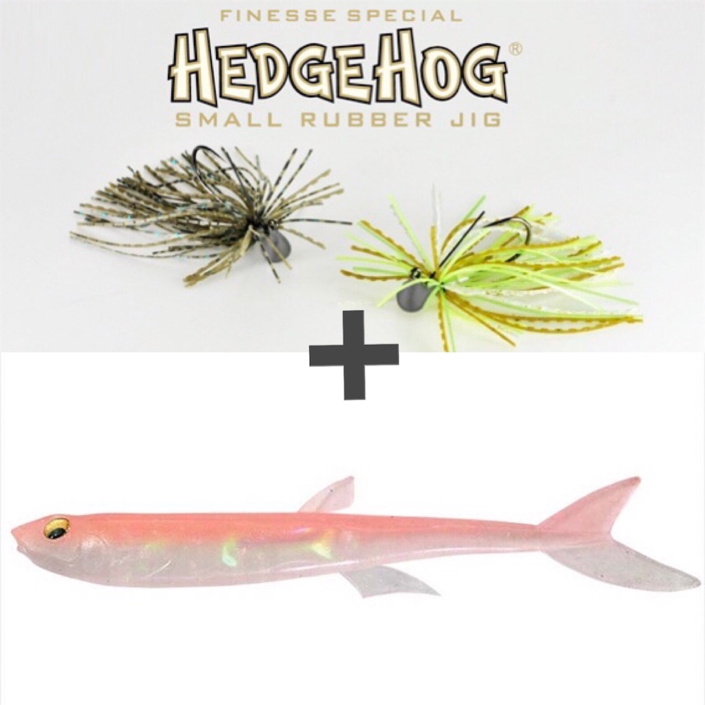 f:id:bassfishingfishing:20210530225714j:image f:id:bassfishingfishing:20210530225714j:image