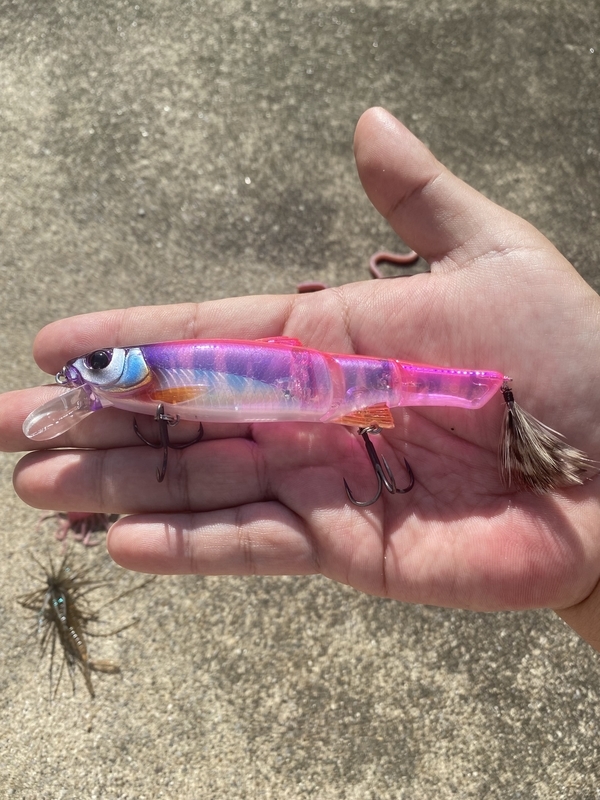 ポイズンアルティマ 1610L-BFS インプレ - 猫好きオヤジのバス釣り奮闘記