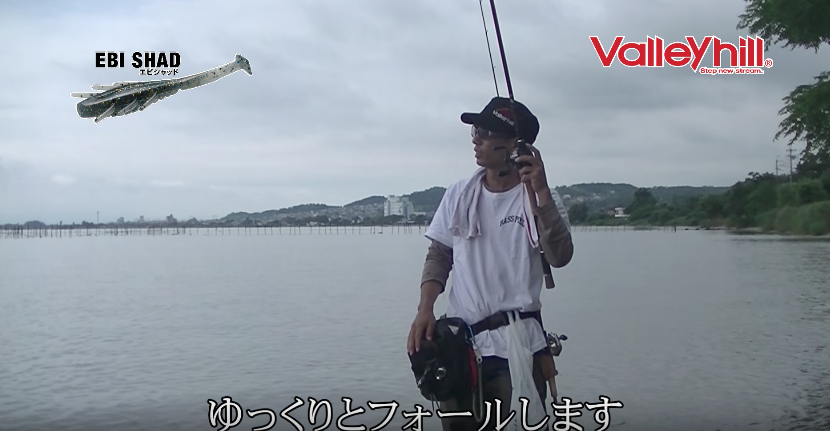 f:id:basssoku:20170626112128p:plain