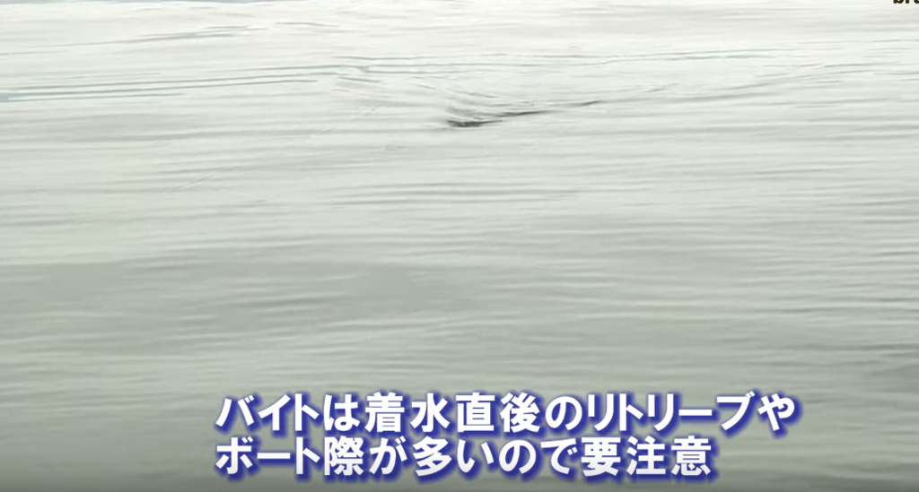 f:id:basssoku:20170705165248p:plain