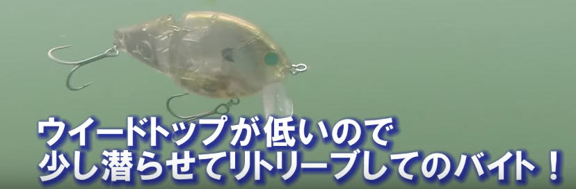 f:id:basssoku:20170705165525p:plain