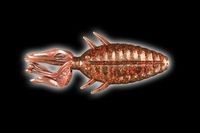 f:id:basssoku:20171218203149j:plain