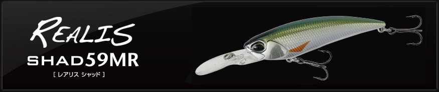 f:id:basssoku:20180110195808j:plain f:id:basssoku:20180110195808j:plain