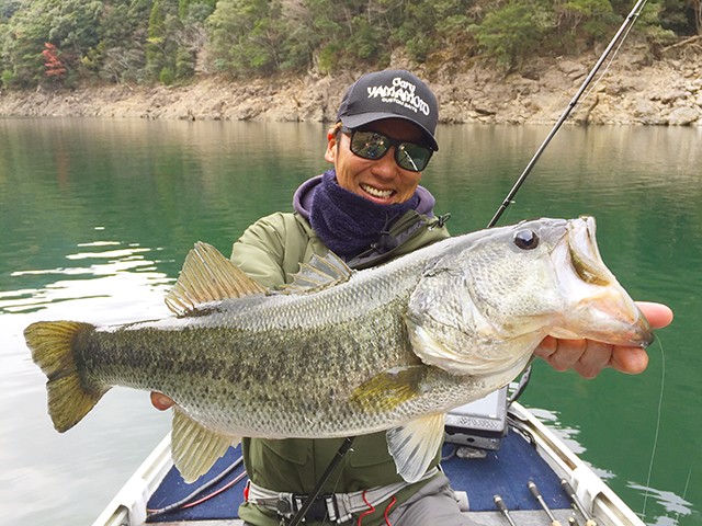 f:id:basssoku:20180128183555j:plain