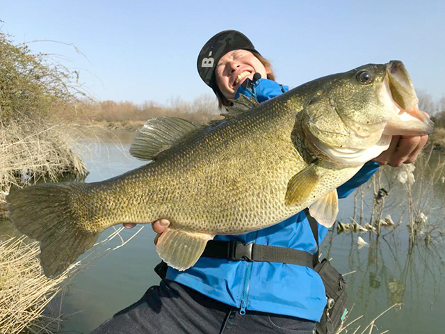 f:id:basssoku:20180403103451j:plain