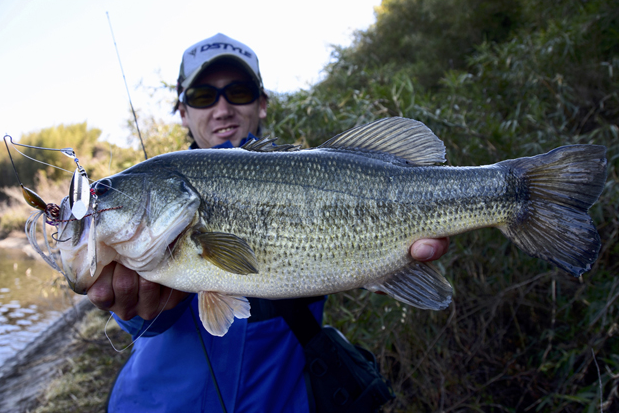 f:id:basssoku:20180424181844p:plain