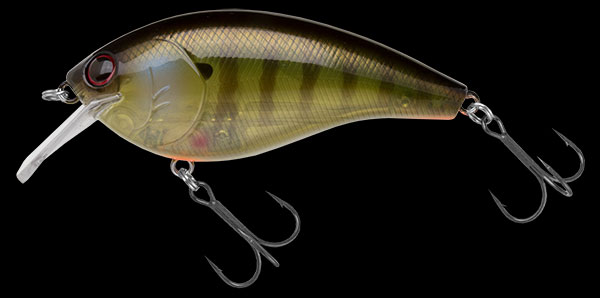 f:id:basssoku:20180425004015j:plain f:id:basssoku:20180425004015j:plain