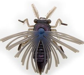 f:id:basssoku:20180510062249p:plain