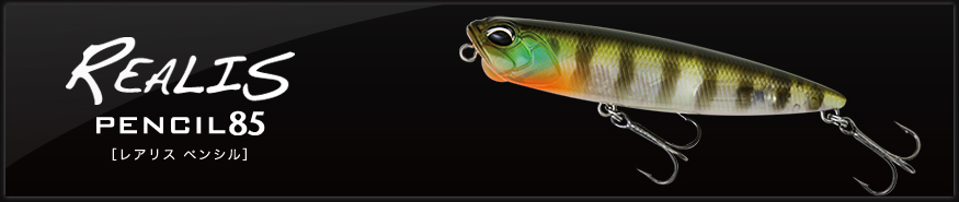 f:id:basssoku:20180516055929j:plain f:id:basssoku:20180516055929j:plain