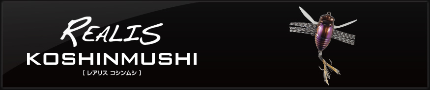 f:id:basssoku:20180521175403j:plain