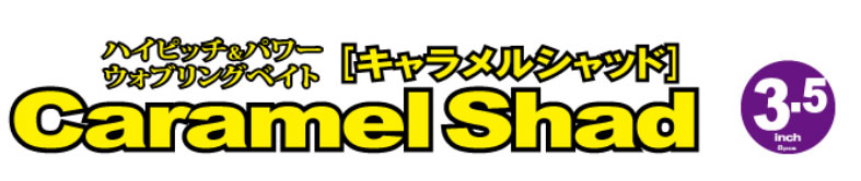 f:id:basssoku:20180603161832j:plain