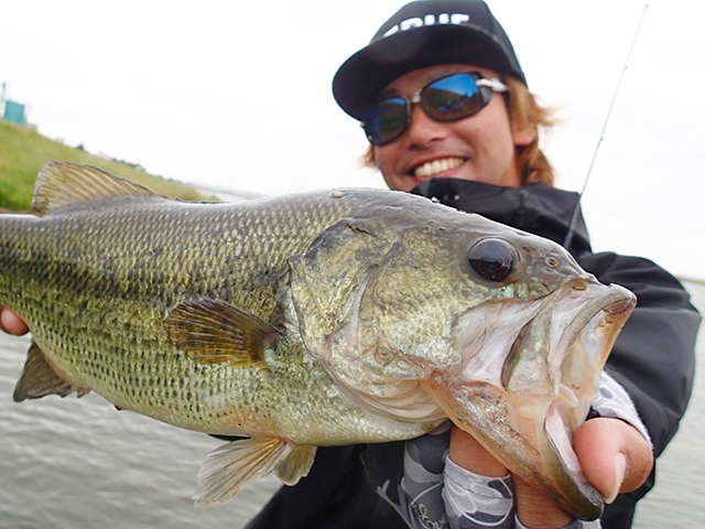 f:id:basssoku:20180702154402j:plain f:id:basssoku:20180702154402j:plain