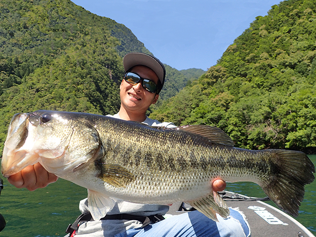 f:id:basssoku:20180708000451j:plain