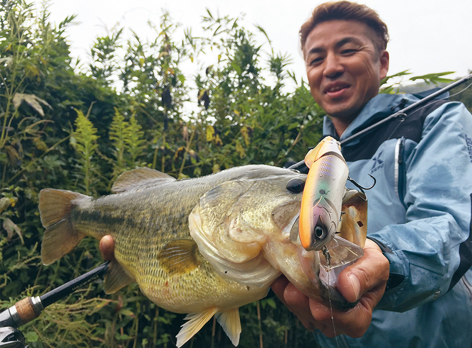 f:id:basssoku:20180721142738j:plain