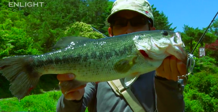 f:id:basssoku:20180729014830p:plain