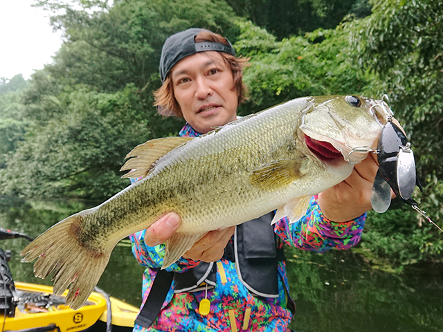 f:id:basssoku:20180803010407j:plain