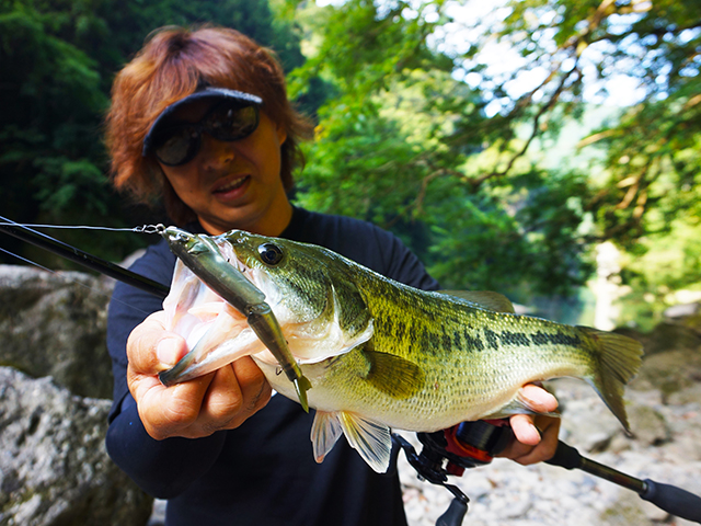 f:id:basssoku:20180805213027j:plain f:id:basssoku:20180805213027j:plain