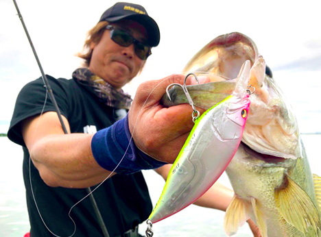 f:id:basssoku:20180819033633p:plain f:id:basssoku:20180819033633p:plain