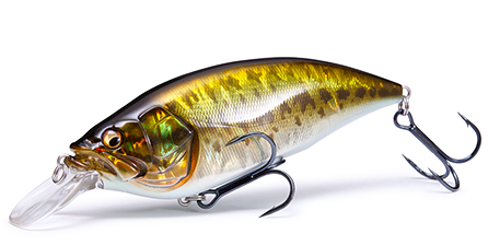 f:id:basssoku:20180819033815p:plain f:id:basssoku:20180819033815p:plain