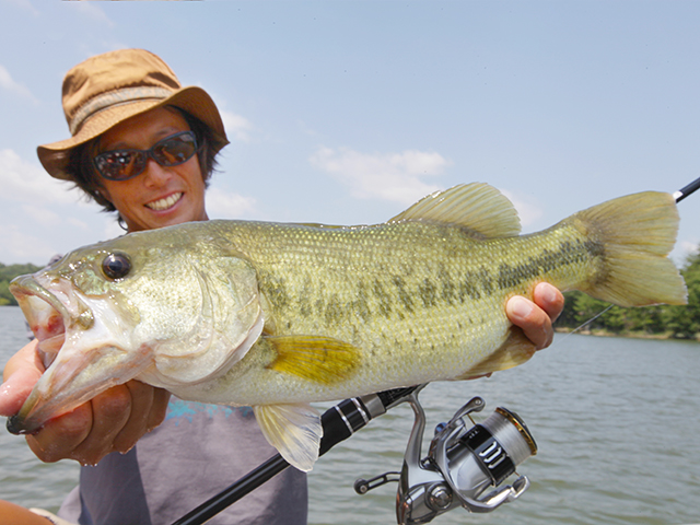 f:id:basssoku:20180826221336j:plain