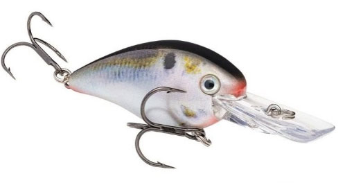 f:id:basssoku:20180831230559j:plain