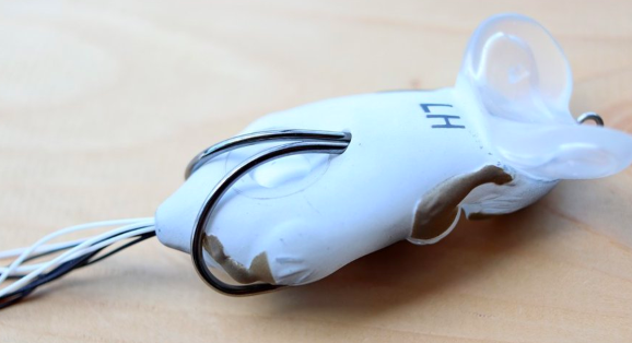 f:id:basssoku:20180912210251p:plain f:id:basssoku:20180912210251p:plain