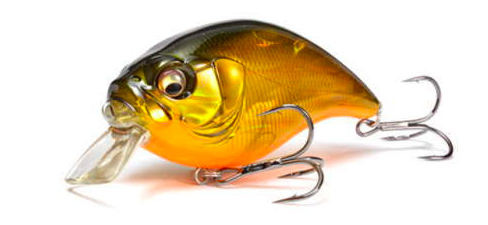 f:id:basssoku:20180925094652p:plain