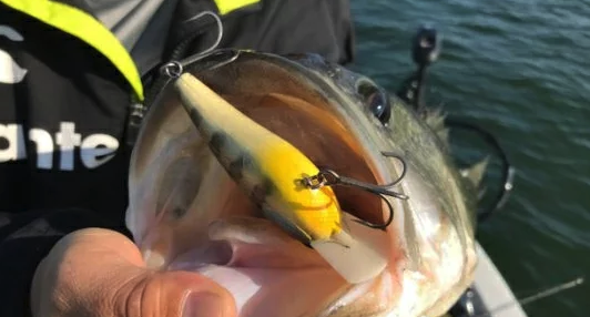 f:id:basssoku:20180925195943p:plain