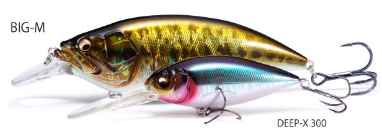 f:id:basssoku:20180927142930p:plain