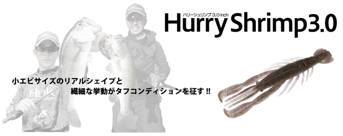f:id:basssoku:20181004221340j:plain f:id:basssoku:20181004221340j:plain