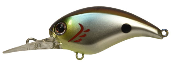 f:id:basssoku:20181012065133p:plain