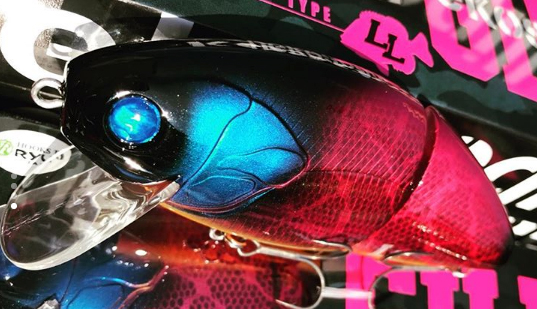 f:id:basssoku:20181018125231j:plain