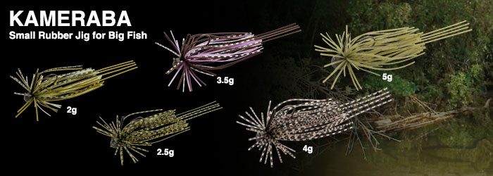 f:id:basssoku:20181019104546j:plain