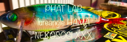 f:id:basssoku:20181103081246p:plain